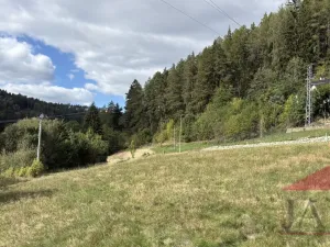 Prodej pozemku pro bydlení, Rejštejn, 1244 m2