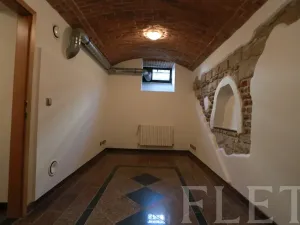 Pronájem komerční nemovitosti, Praha - Vysočany, Jandova, 67 m2