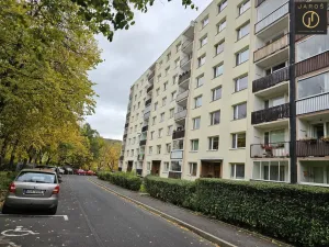 Prodej bytu 1+1, Ústí nad Labem, Maková, 33 m2