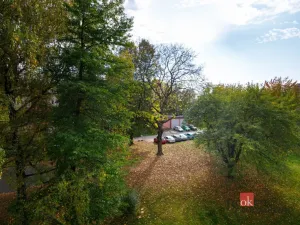 Prodej bytu 3+1, Ostrava - Hrabůvka, Provaznická, 61 m2