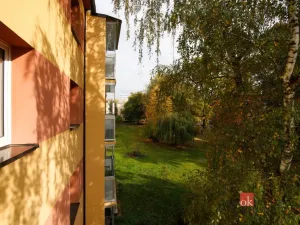 Prodej bytu 3+1, Ostrava - Hrabůvka, Provaznická, 61 m2