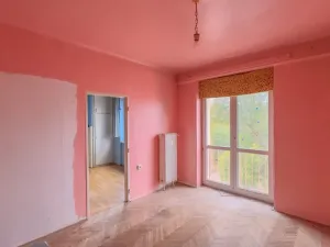 Prodej bytu 2+1, Plzeň - Lobzy, Blatenská, 52 m2