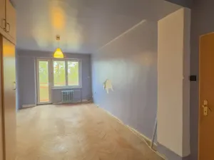 Prodej bytu 2+1, Plzeň - Lobzy, Blatenská, 52 m2
