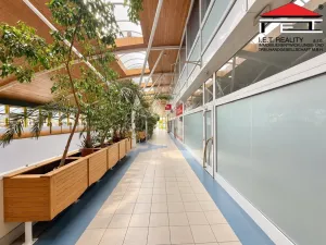 Pronájem obchodního prostoru, Brno, Rokytova, 80 m2