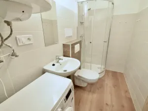 Pronájem bytu 1+kk, Brno - Zábrdovice, Vlhká, 27 m2