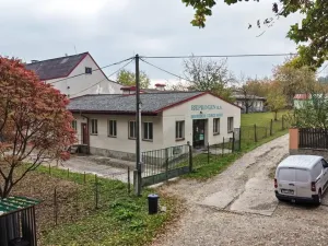 Prodej obchodního prostoru, Jindřichův Hradec, 9726 m2