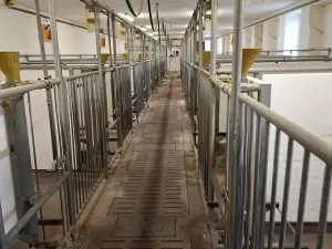 Prodej výrobních prostor, Jindřichův Hradec, 9726 m2