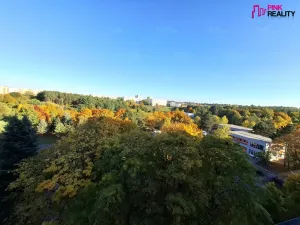 Pronájem bytu 1+1, Hradec Králové - Moravské Předměstí, Štefánikova, 42 m2