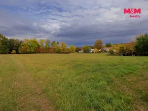 Prodej louky, Lužany - Zelené, 5700 m2
