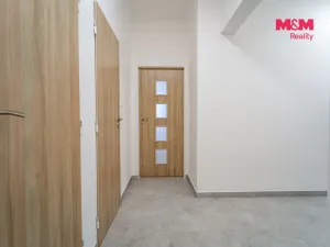 Pronájem bytu 3+kk, Plzeň - Východní Předměstí, Francouzská třída, 55 m2