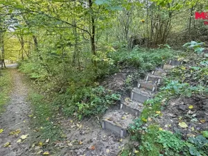 Prodej louky, Bělá pod Bezdězem, 1457 m2