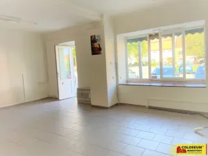 Pronájem obchodního prostoru, Rousínov, 65 m2