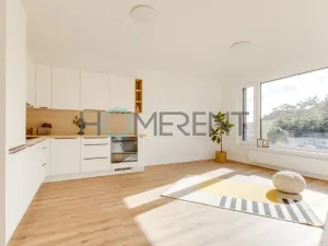Pronájem bytu 2+kk, Praha - Libeň, Zenklova, 54 m2