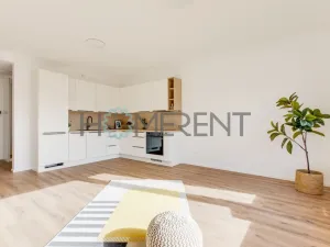 Pronájem bytu 2+kk, Praha - Libeň, Zenklova, 54 m2