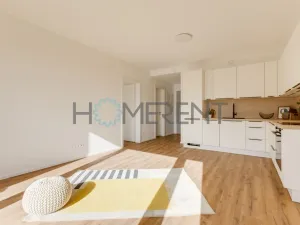 Pronájem bytu 2+kk, Praha - Libeň, Zenklova, 54 m2