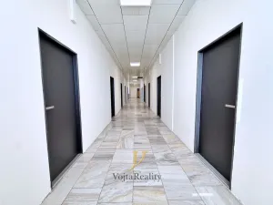Pronájem kanceláře, Olomouc, Jožky Jabůrkové, 20 m2