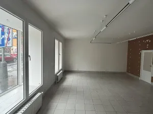 Pronájem obchodního prostoru, Praha - Vysočany, Freyova, 118 m2
