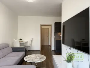 Pronájem bytu 1+1, Olomouc, Edmunda Husserla, 41 m2