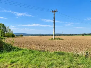 Prodej rodinného domu, Olešná, 215 m2