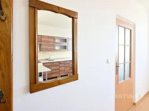 Pronájem bytu 1+1, Litvínov - Horní Litvínov, Tylova, 35 m2