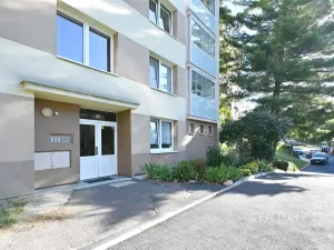 Pronájem bytu 1+1, Litvínov - Horní Litvínov, Tylova, 35 m2