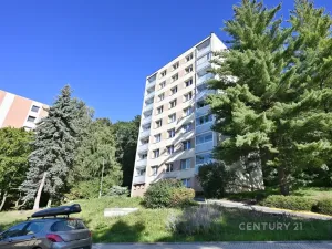 Pronájem bytu 1+1, Litvínov - Horní Litvínov, Tylova, 35 m2