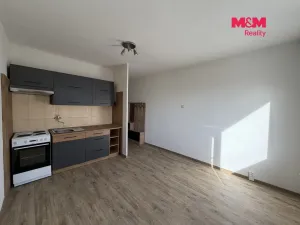 Prodej bytu 1+kk, Děčín - Děčín I-Děčín, Pohraniční, 19 m2