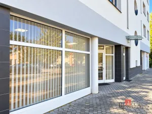 Pronájem obchodního prostoru, Rychnov nad Kněžnou, Javornická, 91 m2