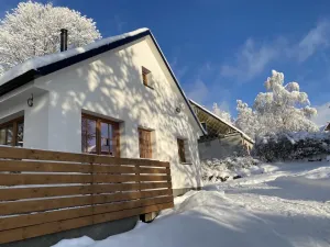 Prodej rodinného domu, Vejprty, Eliščina, 100 m2