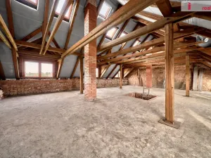 Prodej rodinného domu, Radnice, Zámostí, 250 m2