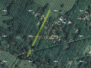 Prodej podílu louky, Nová Lhota, 377 m2