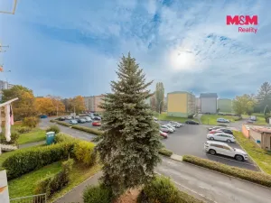 Prodej bytu 3+1, Chodov, U Koupaliště, 65 m2