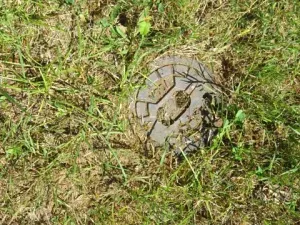 Dražba chaty, Liběchov, 63 m2