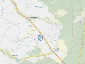 Prodej lesa, Ostřetín - Vysoká u Holic, 5528 m2