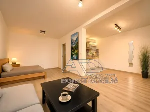 Prodej bytu 1+kk, České Budějovice, E. Beneše, 34 m2