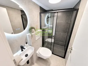 Pronájem bytu 1+kk, Praha - Nusle, Čestmírova, 24 m2