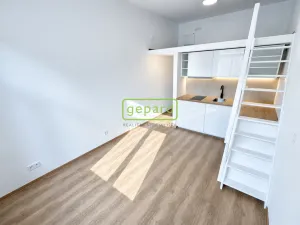 Pronájem bytu 1+kk, Praha - Nusle, Čestmírova, 24 m2