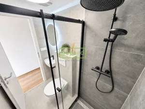 Pronájem bytu 1+kk, Praha - Nusle, Čestmírova, 24 m2