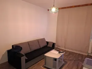 Pronájem bytu 1+1, Horní Bříza, Jedlová, 36 m2