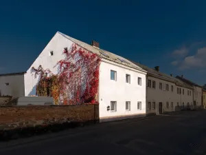 Prodej rodinného domu, Chabařovice, Nádražní, 194 m2