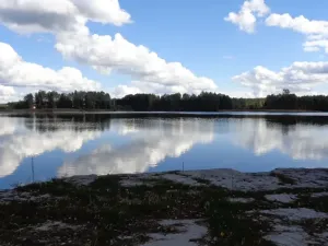 Prodej pole, Chlum u Třeboně, 5569 m2