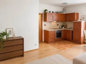 Pronájem bytu 1+kk, Praha - Košíře, Plzeňská, 30 m2