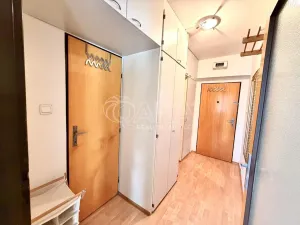 Prodej bytu 1+1, Plzeň - Lobzy, Nad Úslavou, 35 m2