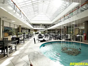 Pronájem kanceláře, Brno, Příkop, 20 m2