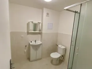 Pronájem bytu 1+kk, Ivanovice na Hané - Chvalkovice na Hané, 29 m2