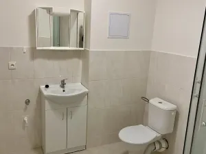 Pronájem bytu 1+kk, Ivanovice na Hané - Chvalkovice na Hané, 29 m2