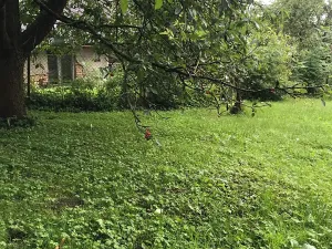 Prodej pozemku pro bydlení, Most, 230 m2