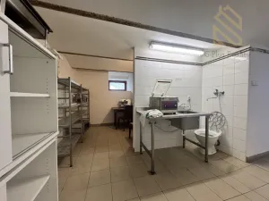 Pronájem restaurace, Žižice - Luníkov, 250 m2