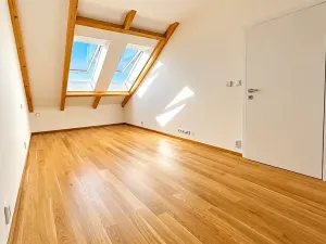 Prodej bytu 2+kk, Praha - Karlín, Jirsíkova, 73 m2