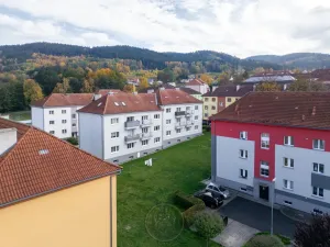 Prodej bytu 3+kk, Březová, Okružní, 56 m2